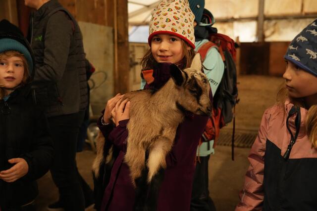 Foto: Julia Perktold