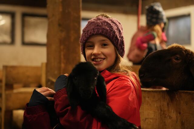 Foto: Julia Perktold