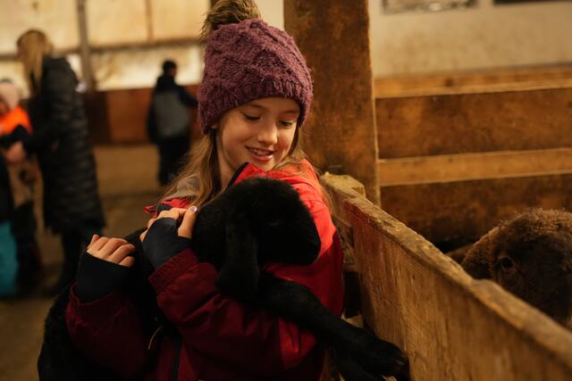 Foto: Julia Perktold