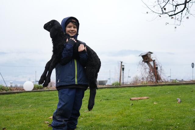 Foto: Julia Perktold