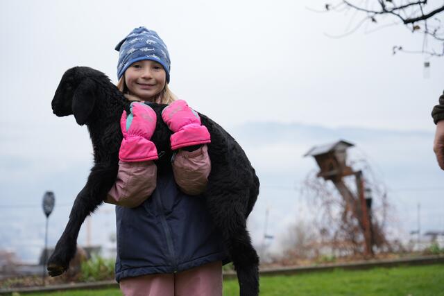 Foto: Julia Perktold