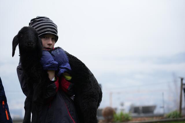 Foto: Julia Perktold