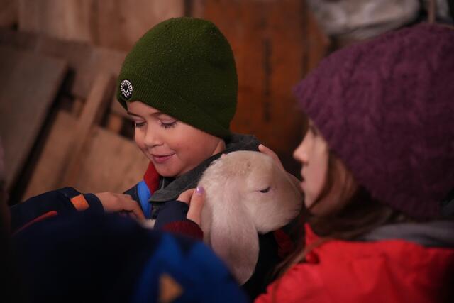 Foto: Julia Perktold