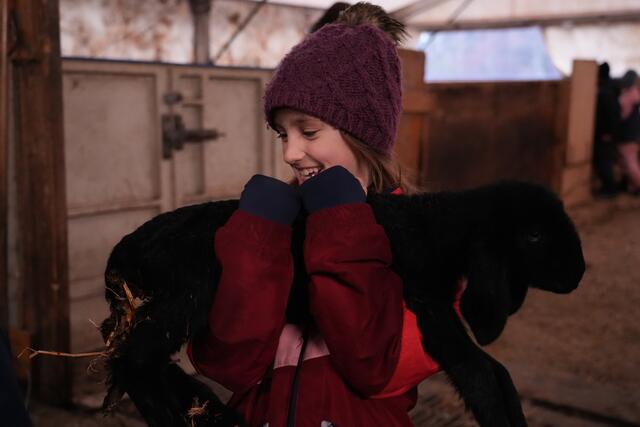 Foto: Julia Perktold