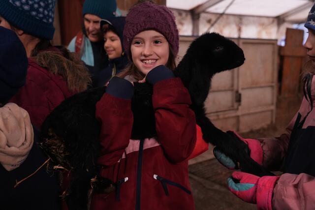 Foto: Julia Perktold