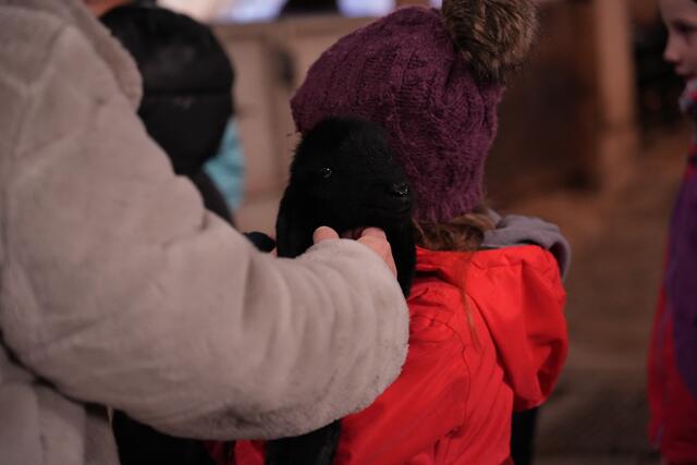 Foto: Julia Perktold