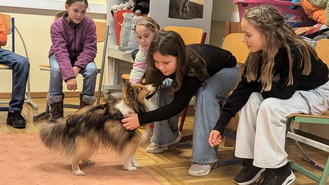 Der Therapiehund kam zum Einsatz.