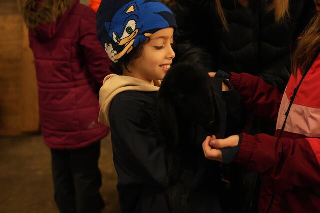 Foto: Julia Perktold