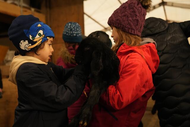 Foto: Julia Perktold