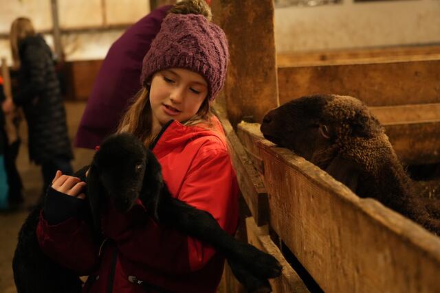 Foto: Julia Perktold