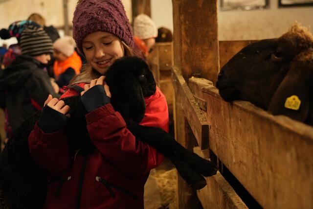 Foto: Julia Perktold