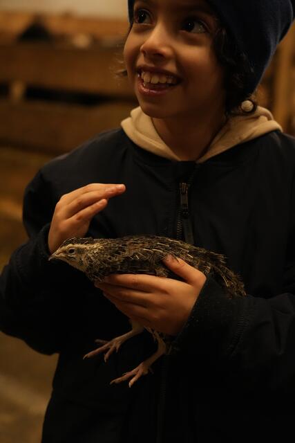 Foto: Julia Perktold