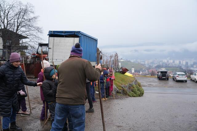 Foto: Julia Perktold