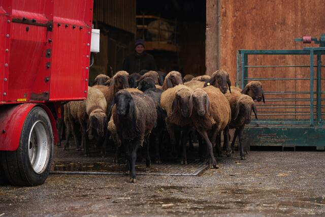 Foto: Julia Perktold