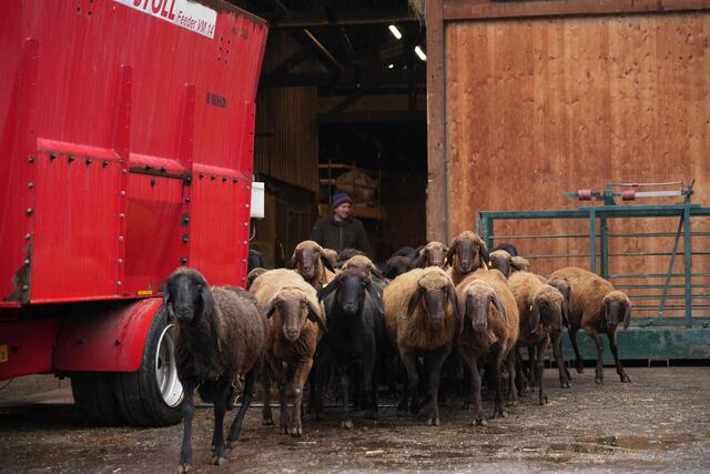 Foto: Julia Perktold