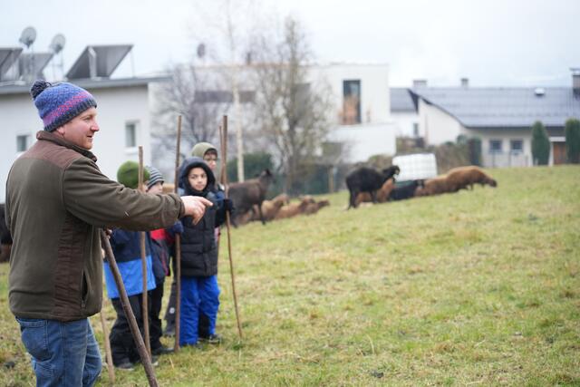 Foto: Julia Perktold