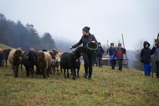 Foto: Julia Perktold