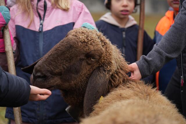 Foto: Julia Perktold