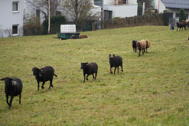 Foto: Julia Perktold