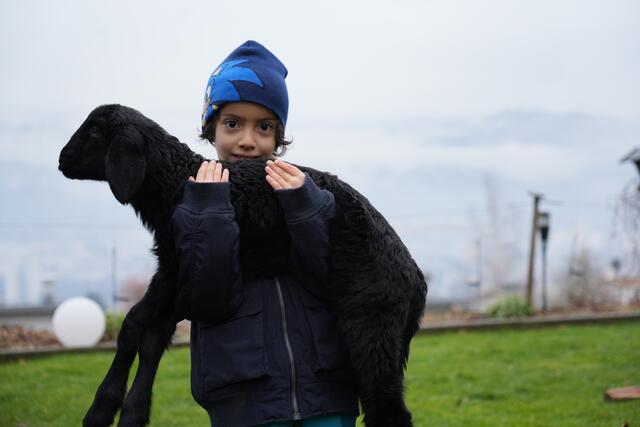 Foto: Julia Perktold