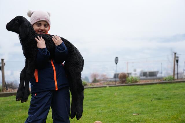 Foto: Julia Perktold