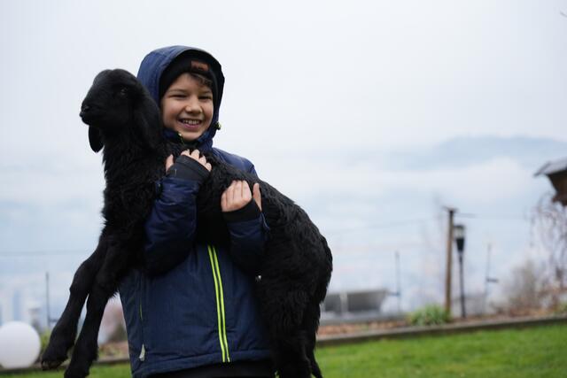 Foto: Julia Perktold