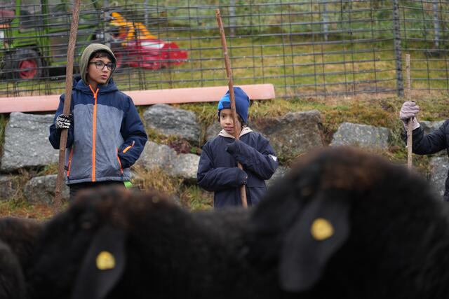 Foto: Julia Perktold