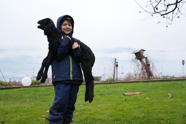 Foto: Julia Perktold