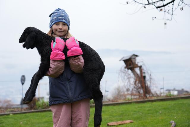 Foto: Julia Perktold