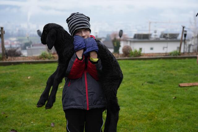 Foto: Julia Perktold