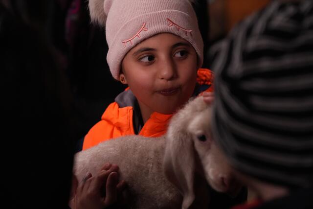 Foto: Julia Perktold