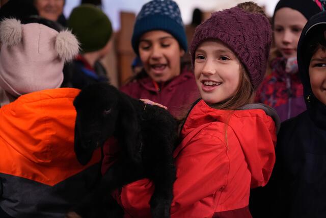 Foto: Julia Perktold