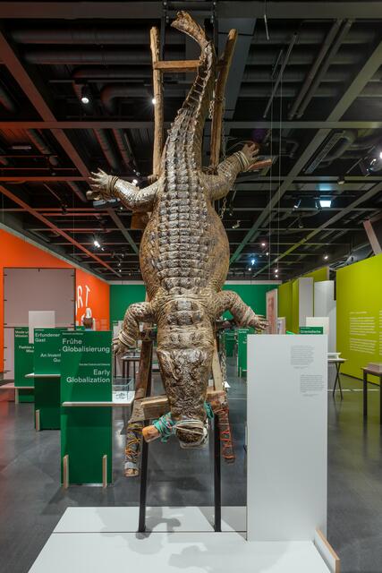 Foto: Klaus Pichler/Wien Museum