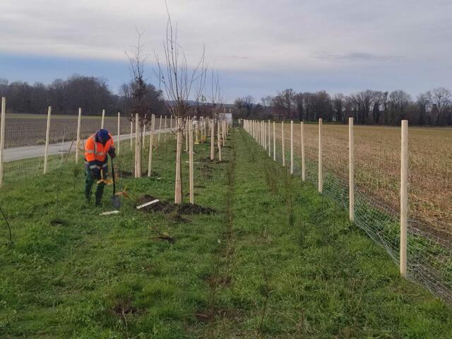Foto: Straßendienst Land NÖ
