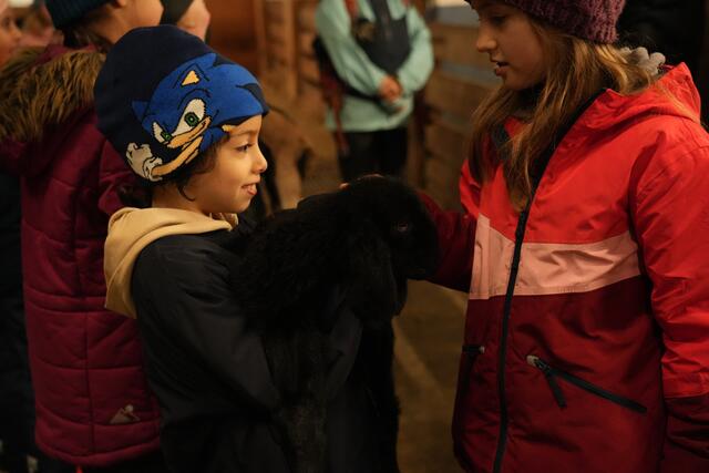 Foto: Julia Perktold