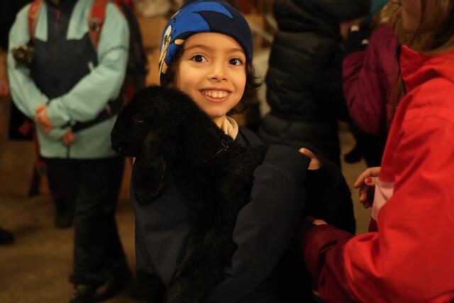 Foto: Julia Perktold