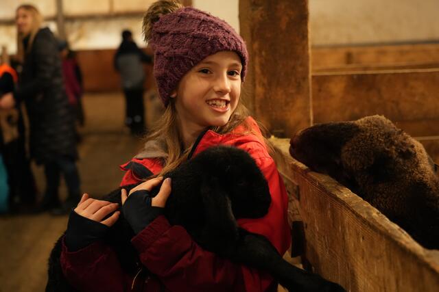 Foto: Julia Perktold