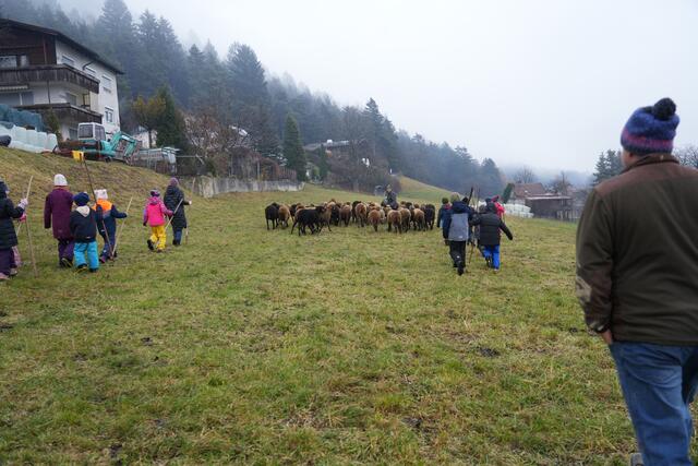 Foto: Julia Perktold