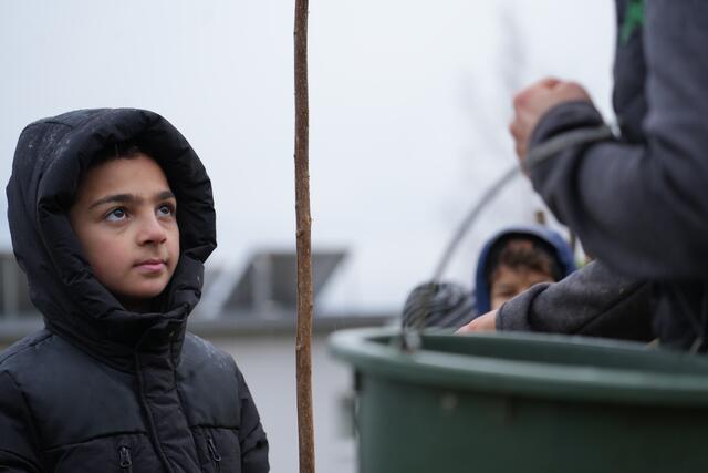 Foto: Julia Perktold