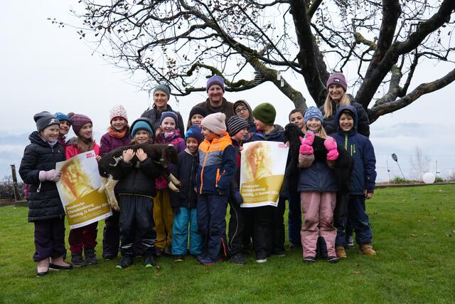 Foto: Julia Perktold