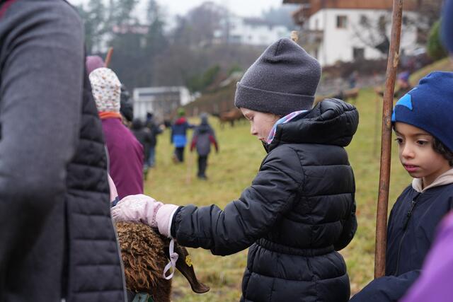 Foto: Julia Perktold