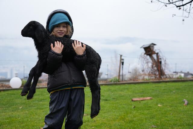 Foto: Julia Perktold