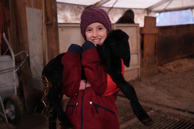 Foto: Julia Perktold