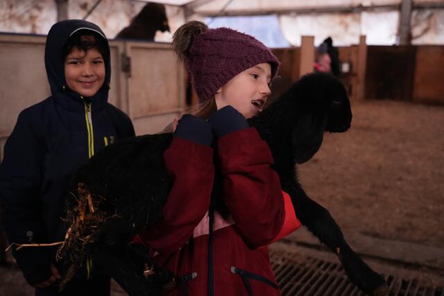 Foto: Julia Perktold