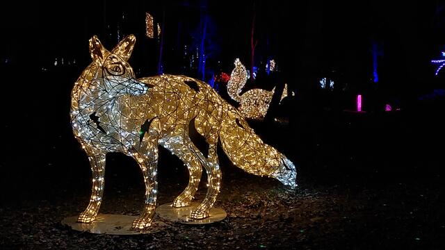 Frohnleiten glänzt wie auch schon in den vergangenen Jahren mit "LuMagica". | Foto: Hans Baier