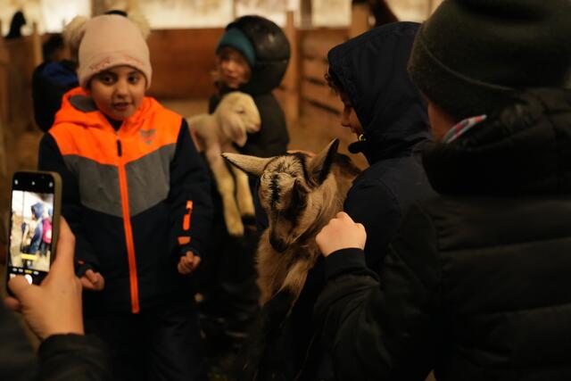 Foto: Julia Perktold