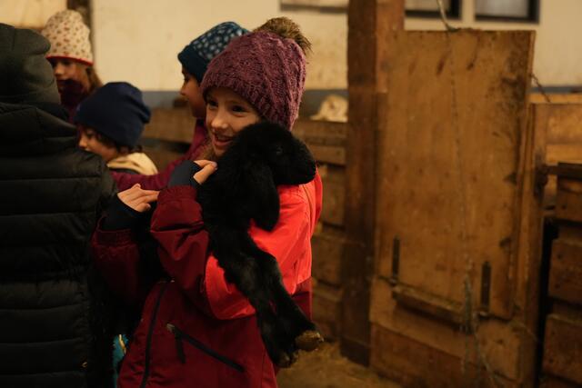 Foto: Julia Perktold