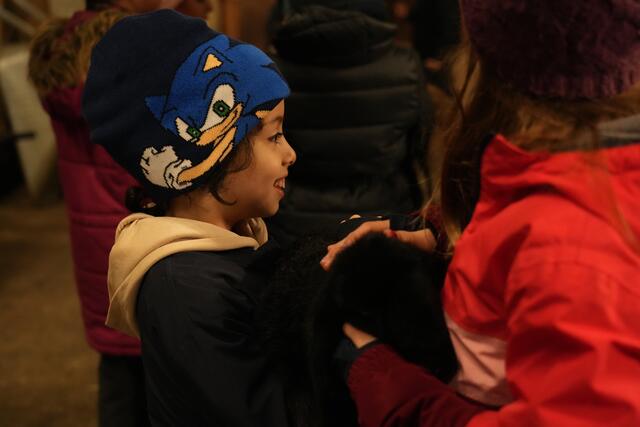 Foto: Julia Perktold