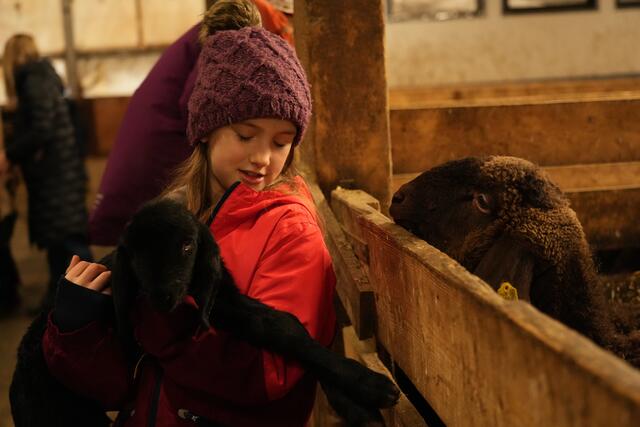 Foto: Julia Perktold