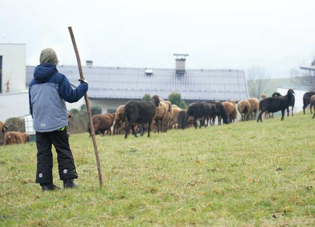 Foto: Julia Perktold